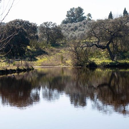 Villa Casa Cortijo En Dehesa Sierra Leon La Puebla de los Infantes Esterno foto